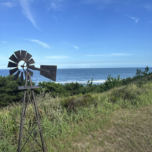 絶景ロケーション🌊tama海terrasseが最高すぎた