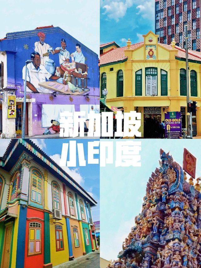 【 新加坡旅遊 】小印度進入印度色彩的世界
