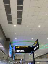 ท่าอากาศยานนานาชาติดอนเมือง