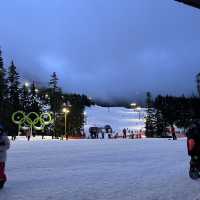 【Cypress Mountain】🇨🇦〜バンクーバーの冬の楽園、スキーと絶景のアドベンチャー〜