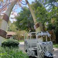 An Unforgettable Wildlife Adventure at VinPearl Safari Phu Quoc