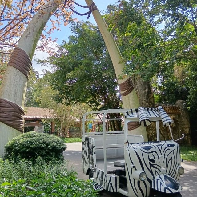 An Unforgettable Wildlife Adventure at VinPearl Safari Phu Quoc