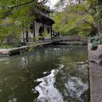 The Serenity of West Lake in Hangzhou