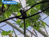 台北-大人小孩都喜歡的最佳親子景點：台北市立動物園