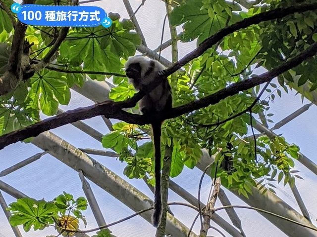 台北-大人小孩都喜歡的最佳親子景點：台北市立動物園