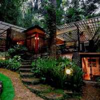  Puradise Private Residence