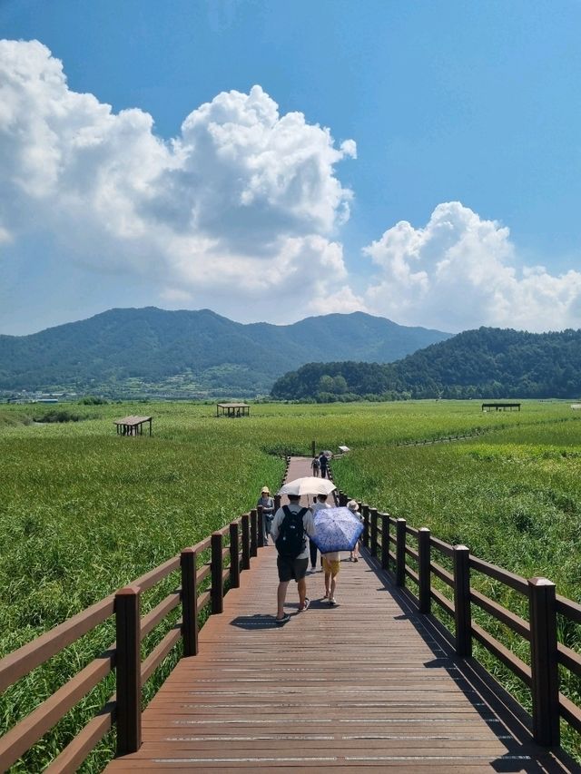 끝없이 펼쳐진 습지