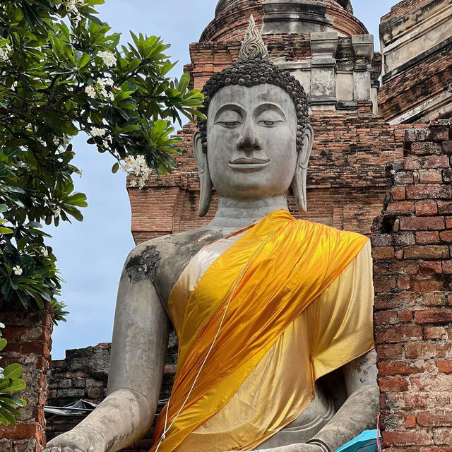 ชมเมืองเก่าอุทยานประวัติศาสตร์พระนครศรีอยุธยา