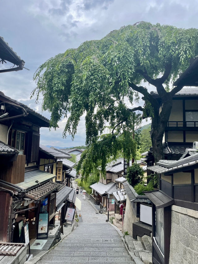 🇯🇵京都ランチ