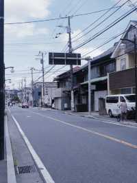 鎌倉三大賞花勝地：長谷寺的繡球花小路