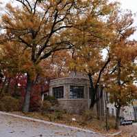 Ewha Womans University | Seoul | Korea