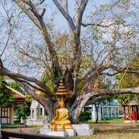 โบสถ์ โกธิค ศิลปะตะวันตก 1 เดียวในไทย 