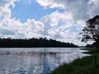 Discover MacRitchie Reservoir: Singapore’s Secret Nature Gem