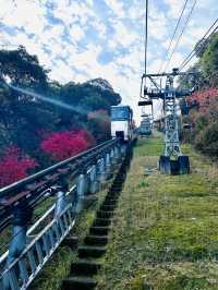 🇯🇵 京都近郊 日本三景之一的天橋立