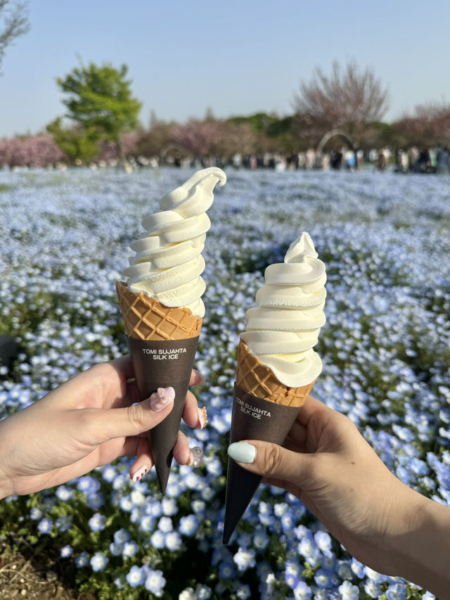 都内でネモフィラが楽しめるスポット🩵