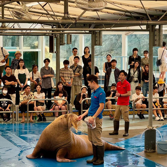 ～下關市立水族館～美麗海洋世界～