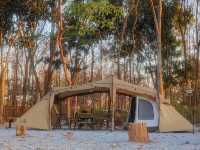 P&N Valley Camp - จุดกางเต็นท์สระบุรี