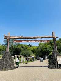 【大阪府】100年を超える長い歴史を持つ天王寺動物園