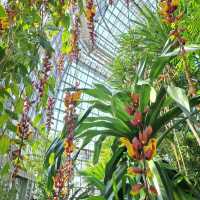 ～牛津大學哈考特植物園～增長植物知識好去處～