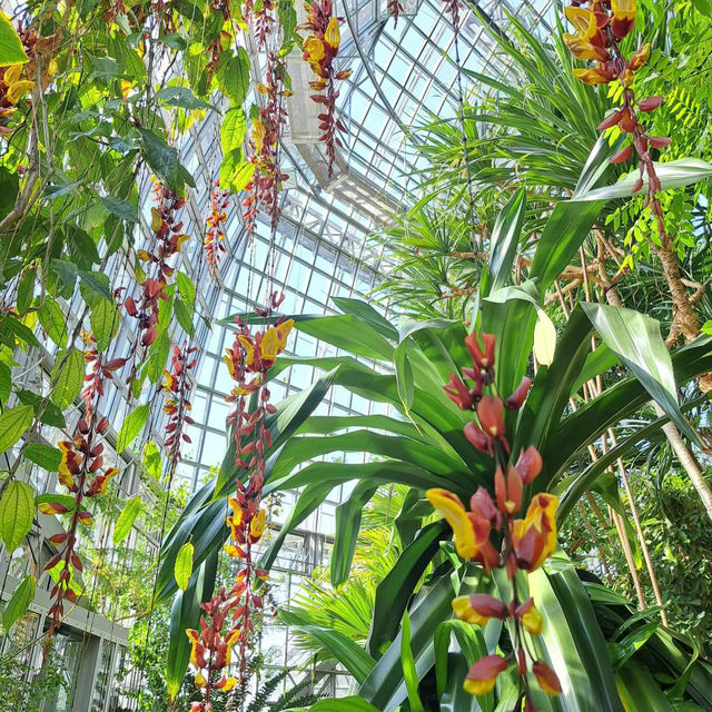 ～牛津大學哈考特植物園～增長植物知識好去處～
