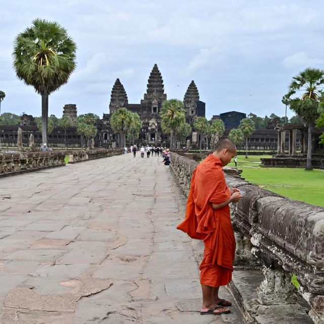 See Angkor Wat and Die