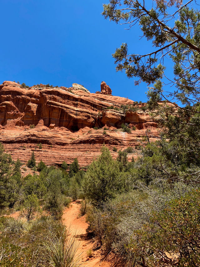 Exploring Boynton Canyon Trail