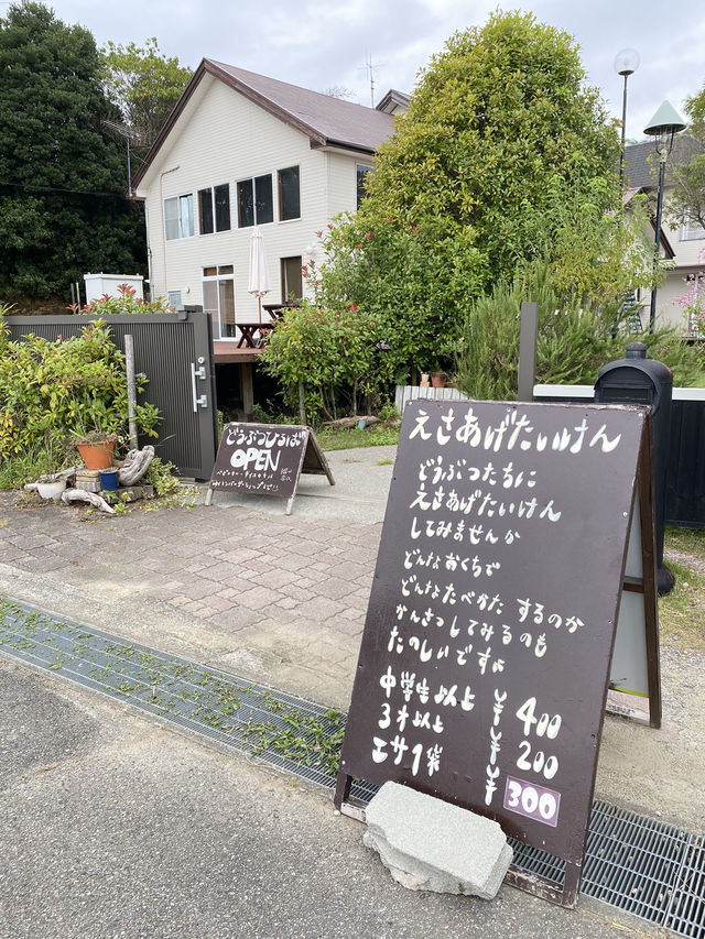 【淡路島】貴重な触れ合い！ロバとお散歩