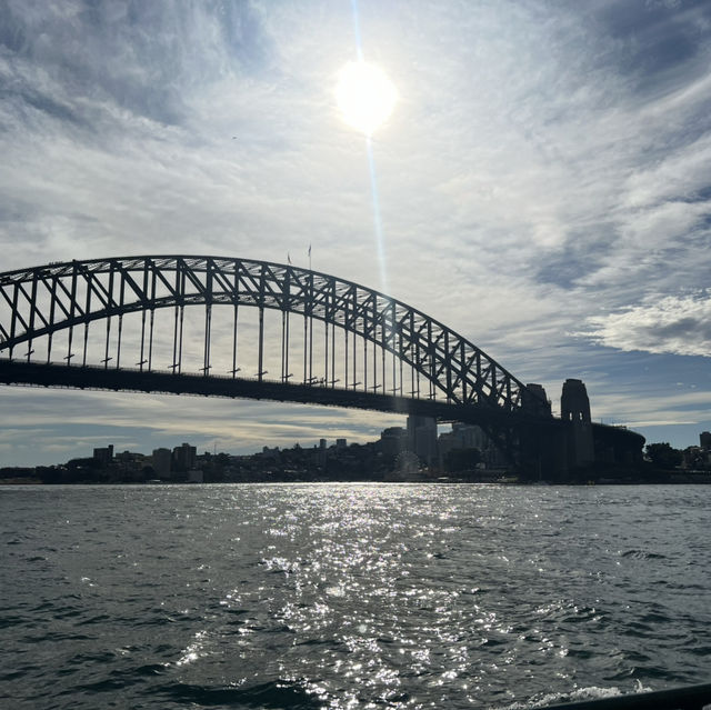 必玩！悉尼Taronga Zoo 與樹熊零距離接觸，一程船遊盡覽悉尼港美景！