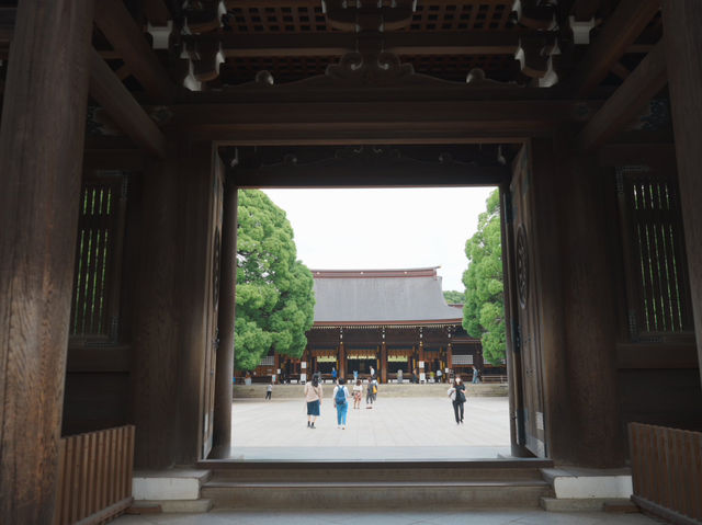 【東京観光】東京の都会に広がる癒しの森！明治神宮を御参拝⛩️