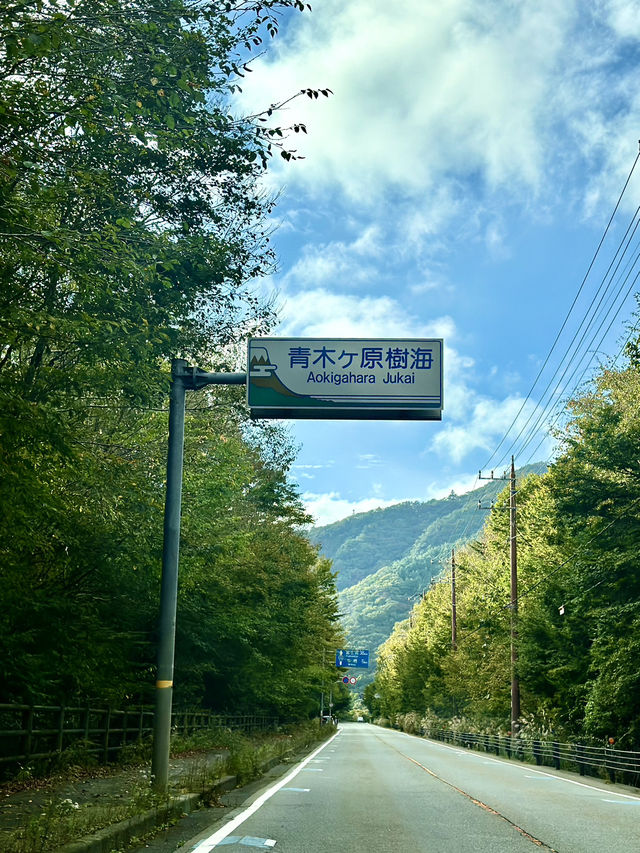 Amazing Road Trip to Aokigahara Forest 🚙