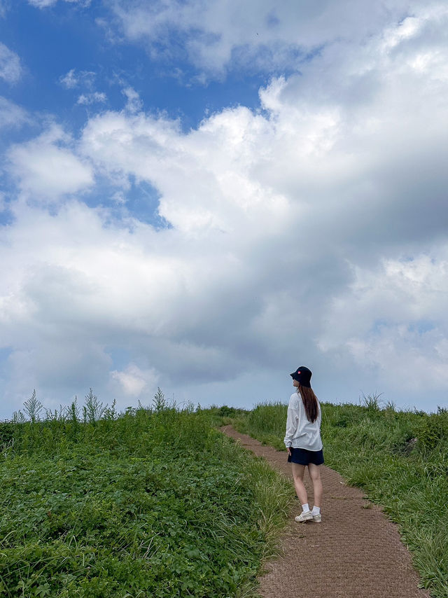 제주도 서쪽 가야하는 오름 금오름 추천