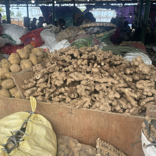 セブの歴史と生活を感じる旅🇵🇭