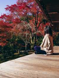 【京都の紅葉スポット】京都　高雄　高山寺