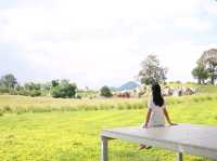 เที่ยวคาเฟ่เขาใหญ่ที่ Monogram 