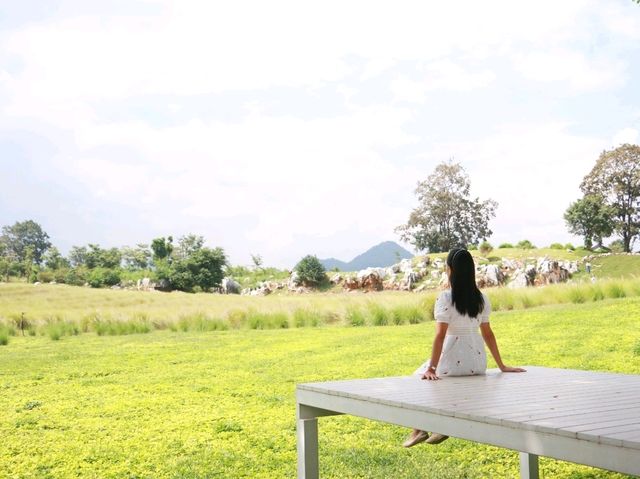 เที่ยวคาเฟ่เขาใหญ่ที่ Monogram 