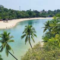 The Palawan