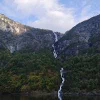 The Fjords