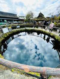 【秋の山梨1泊2日旅】 リフレが素晴らしいおすすめスポット！
