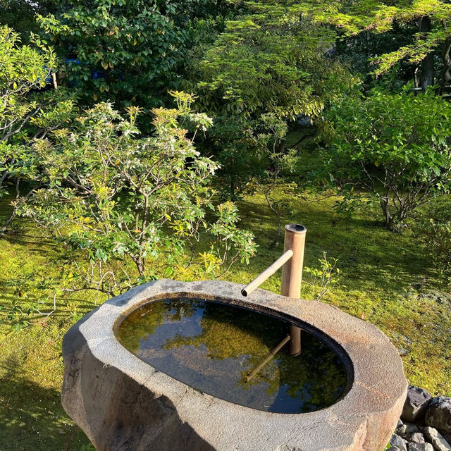 清涼寺：心靈的平靜之所 🌿