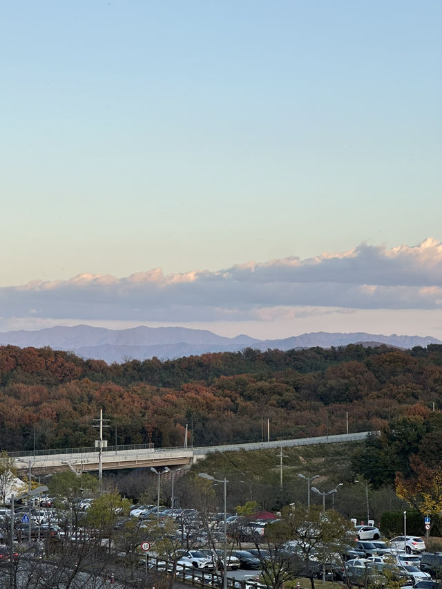 🍂 단풍으로 물든 여주의 풍경 🌳 가을 나들이 가기 좋은 여행지 추천 🧡