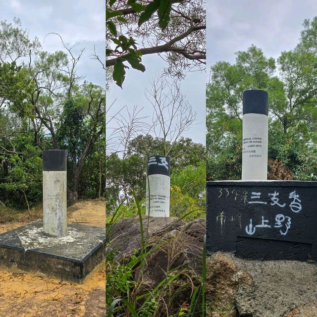 青衣無敵景觀郊遊路線😎