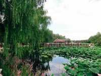 圓明園：曾經最美麗的萬園之園