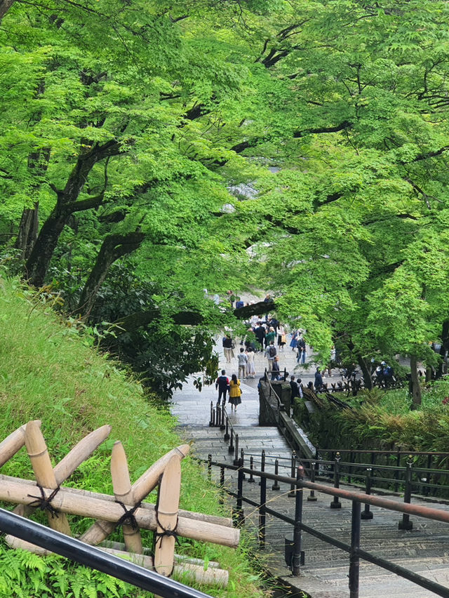 Kiyomizu Dera⛩️🗾