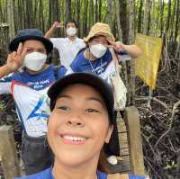 ท่องเที่ยวเชิงอนุรักษ์ที่ทุ่งโปรงทองปากน้ำประแส