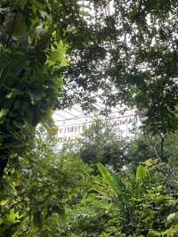 Bangkok’s fairytale butterfly garden 