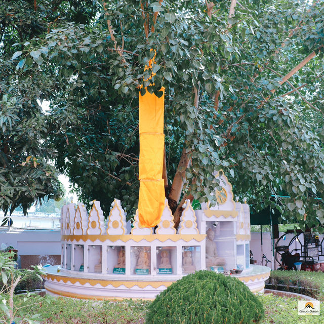 วัดพุทธบังคลาเทศ 