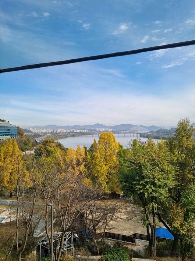 갤러리가 있는 한강뷰 카페