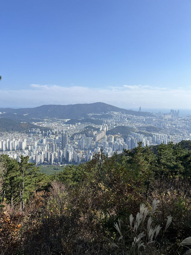 부산 가을여행지는 바로 여기!