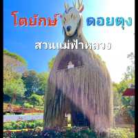 ชมดอกไม้สวย สวนแม่ฟ้าหลวง ดอยตุง