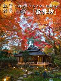 【紅葉特集】一生に一度は行きたい‼️聖徳太子ゆかりの紅葉スポット🍁